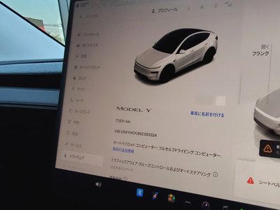 TESLA MODEL Y - 6