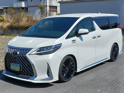 TOYOTA ALPHARD - 1