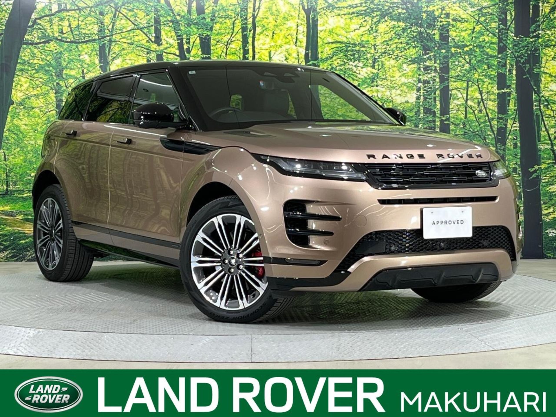 LAND ROVER RANGE ROVER EVOQUE - View 1