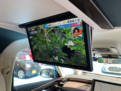 TOYOTA ALPHARD - 3