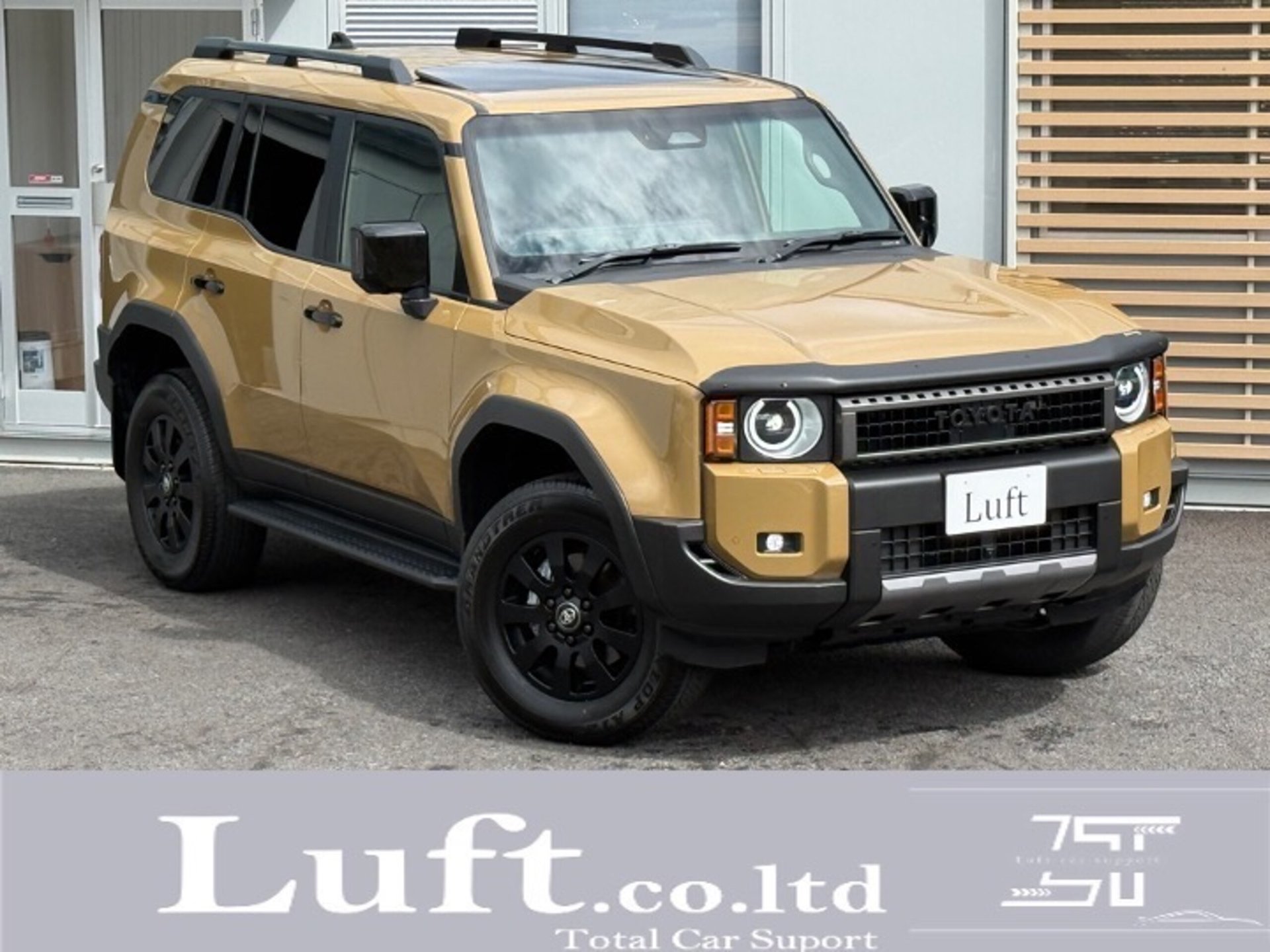 TOYOTA LAND CRUISER 250 - View 1