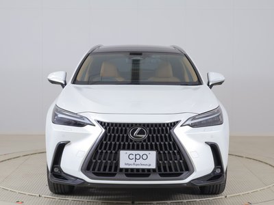LEXUS NX - 5