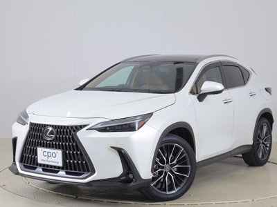LEXUS NX - 1