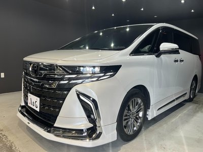 TOYOTA ALPHARD - 3