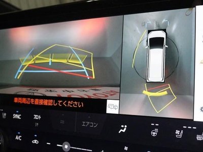 2025 TOYOTA ALPHARD photo 10