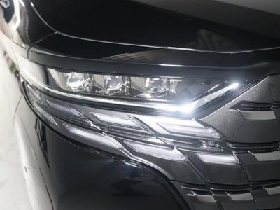 2025 TOYOTA ALPHARD thumbnail 24