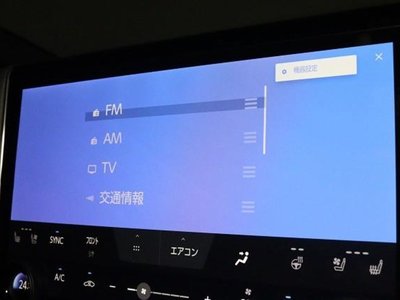 2025 TOYOTA ALPHARD photo 8