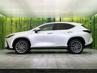 2023 Lexus NX 缩略图 29