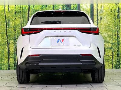 2023 Lexus NX 缩略图 15