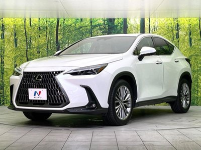 2023 Lexus NX 缩略图 28