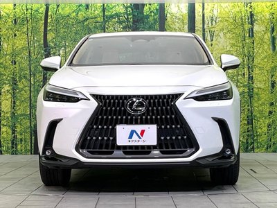 2023 Lexus NX 缩略图 14