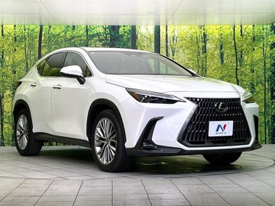 2023 Lexus NX 缩略图 16