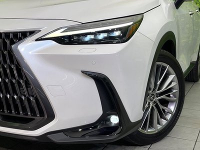 2023 Lexus NX 缩略图 12