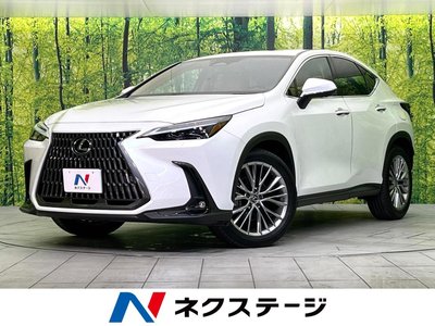 2023 Lexus NX 照片 1