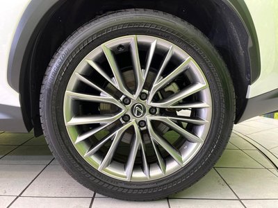 2023 Lexus NX 缩略图 24