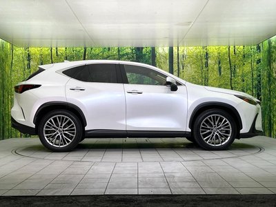 2023 Lexus NX 缩略图 31