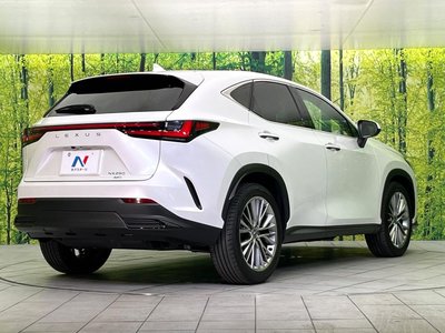 2023 Lexus NX 缩略图 17
