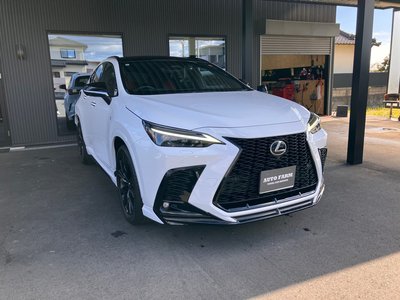LEXUS NX - 1