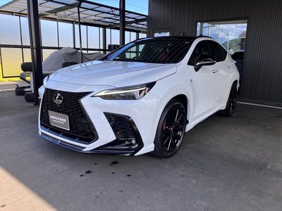 LEXUS NX - 2