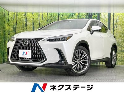 LEXUS NX - 1
