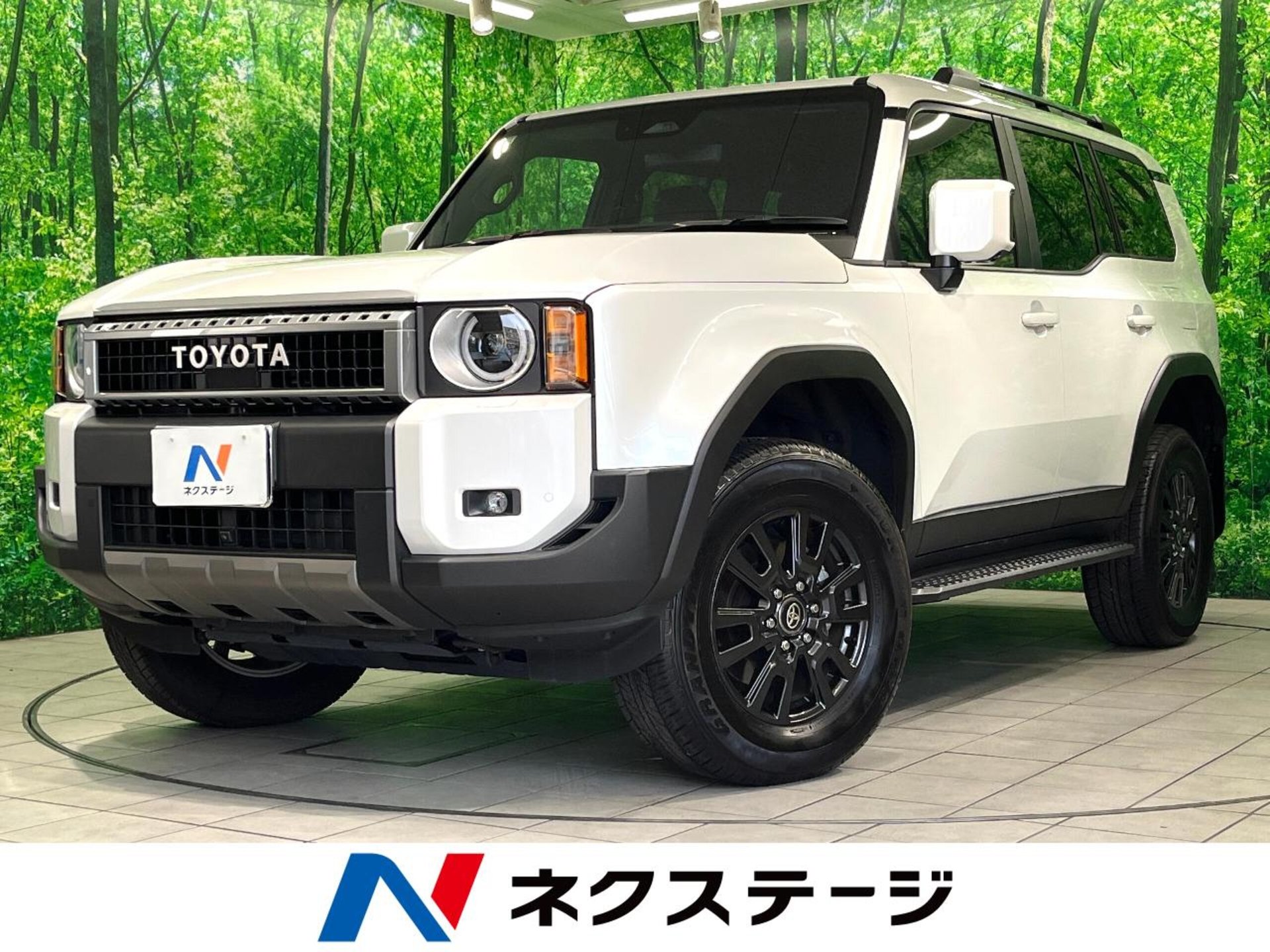 TOYOTA LAND CRUISER 250 - View 1