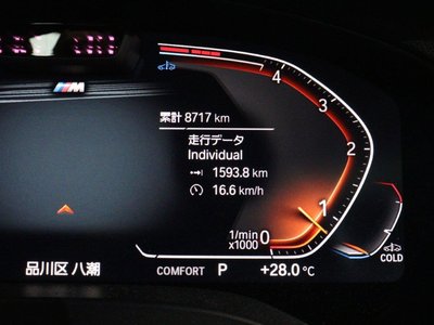 2024 BMW X4 — миниатюра 60