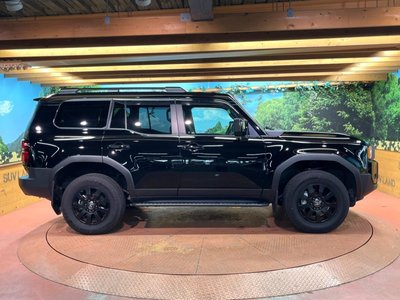 2024 Toyota LAND CRUISER 250 缩略图 61