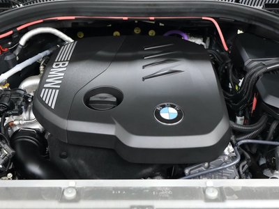2024 BMW X3 缩略图 62