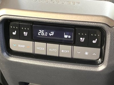 2025 Toyota LAND CRUISER 250 — миниатюра 25