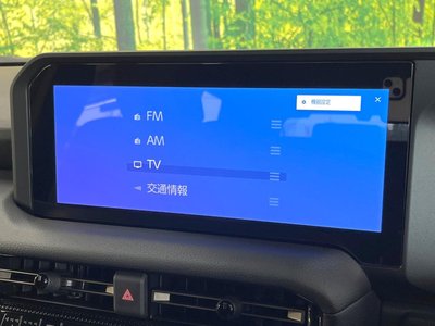 2025 Toyota LAND CRUISER 250 — миниатюра 23