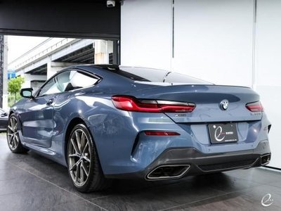 2018 BMW 8 SERIES 照片 9