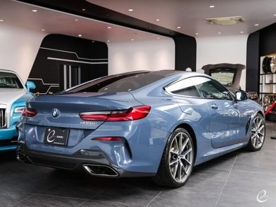2018 BMW 8 SERIES 照片 2