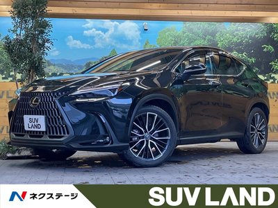 LEXUS NX - 1