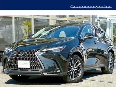 LEXUS NX - 1