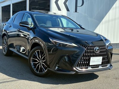 LEXUS NX - 10