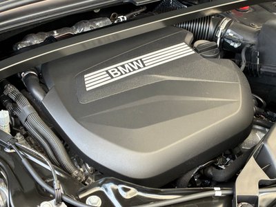 2025 BMW X2 缩略图 44