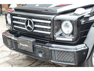 2017 Mercedes-BENZ G-CLASS 照片 5