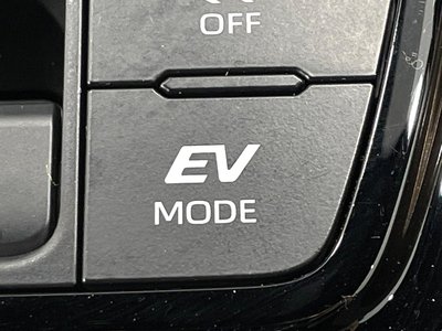 صورة مصغرة 36 لـ 2024 TOYOTA ALPHARD