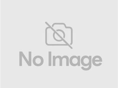 ASTON MARTIN V8 VANTAGE N400 - 2