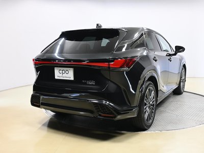LEXUS RX - 6