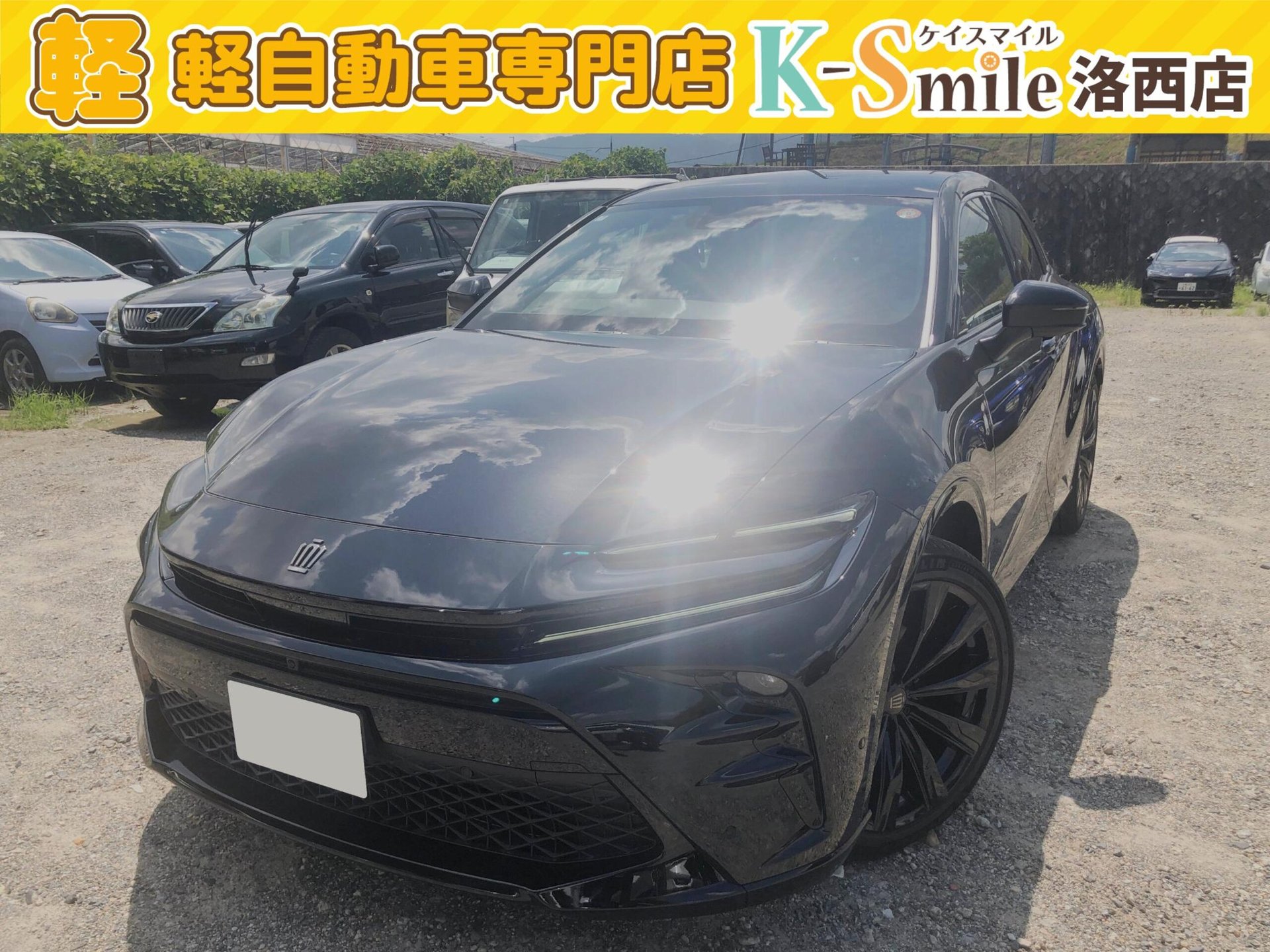 TOYOTA CROWN SPORT - View 1