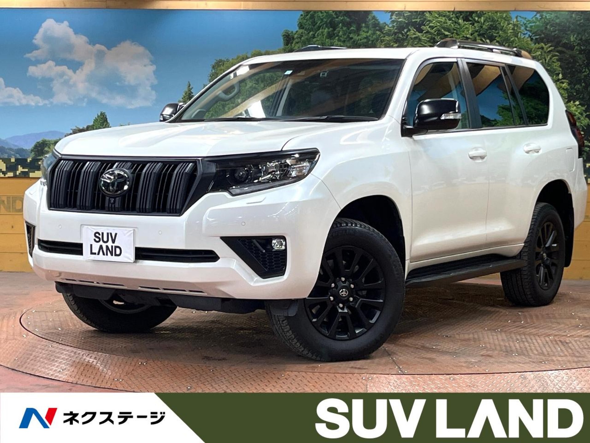 TOYOTA LAND CRUISER PRADO - View 1
