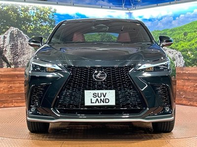 2023 Lexus NX 缩略图 14