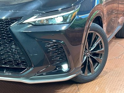 2023 Lexus NX 缩略图 12