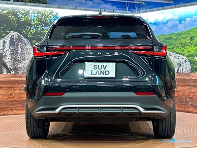 2023 Lexus NX 缩略图 15