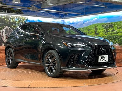 2023 Lexus NX 缩略图 16