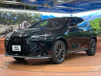 2023 Lexus NX 缩略图 57