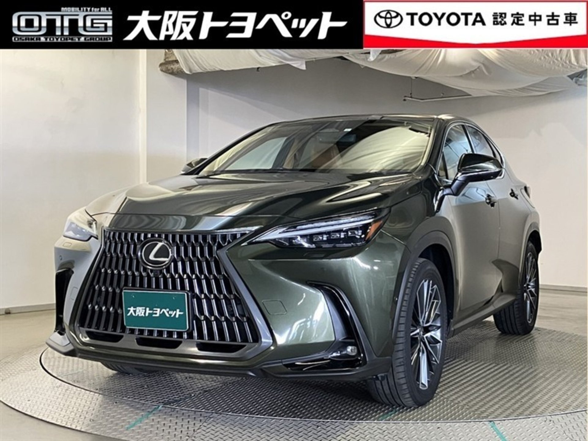 LEXUS NX - View 1