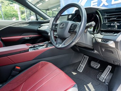 LEXUS RX - 10
