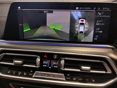 2021 BMW X6 — миниатюра 72